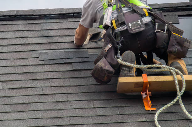 Roof Gutter Cleaning in Wathena, KS