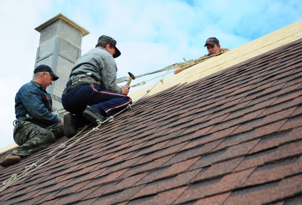 Best Roof Maintenance Services  in Wathena, KS